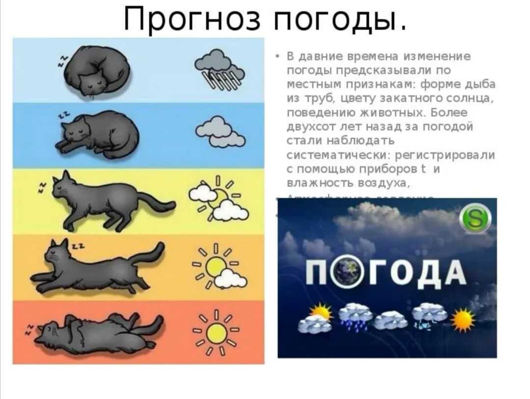 Цифровая комнатная метеостанция.