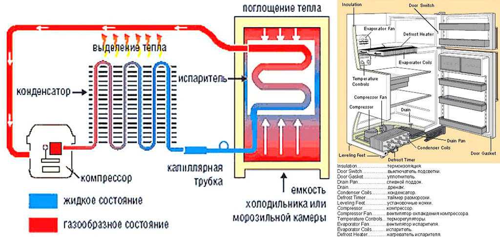 Цикл работы холодильника: как часто должен включаться холодильник