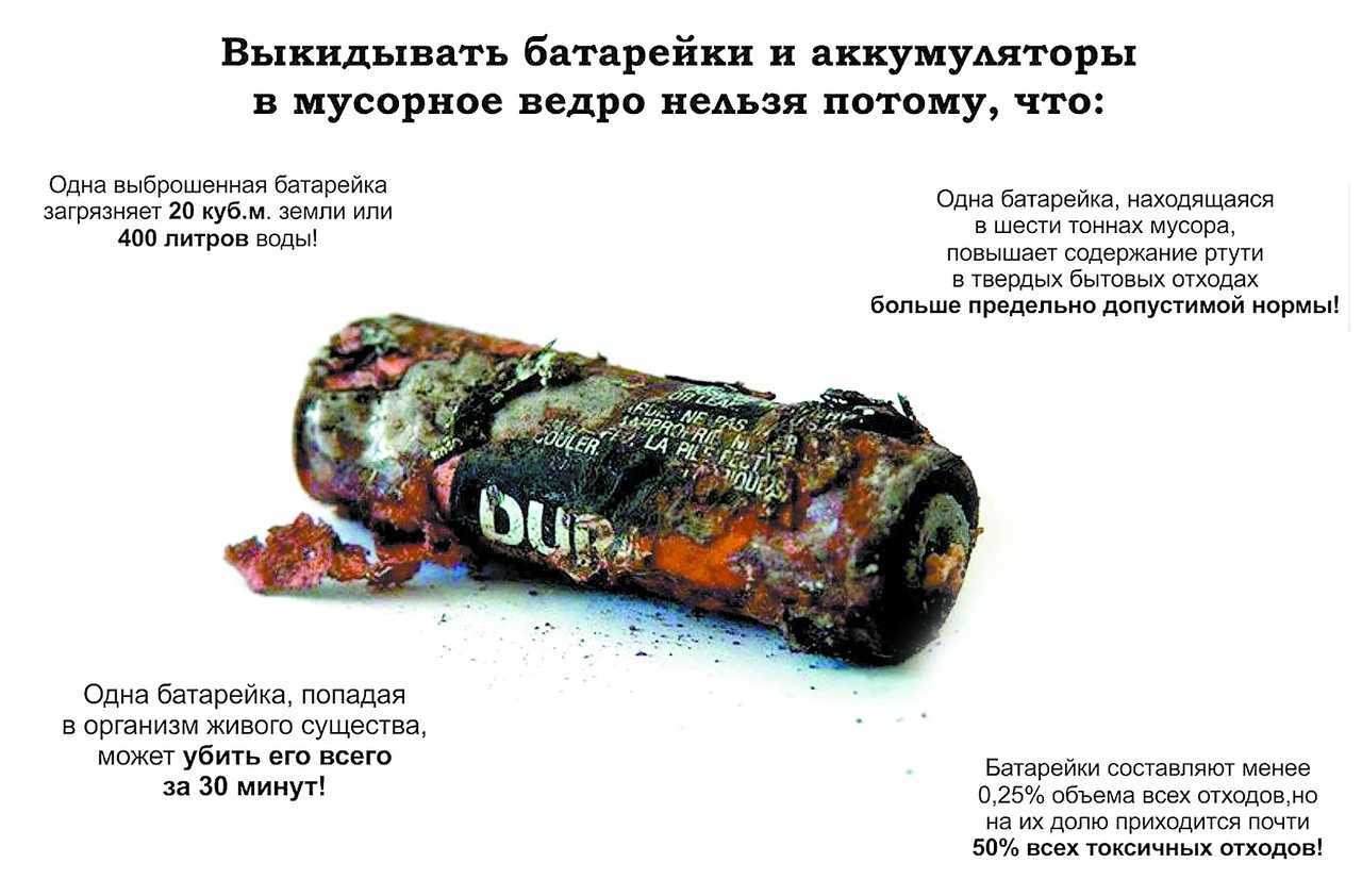 Вред батареек для окружающей среды и человекаsitelena.ru
