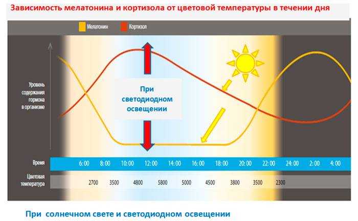 Энергосберегающие лампы вредны для здоровья человека - правда или миф