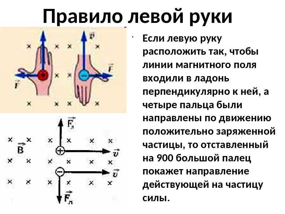 Правило левой руки тренировка