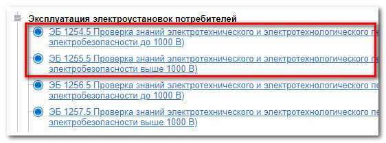Тест по электробезопасности (ii группа допуска до 1000 в)