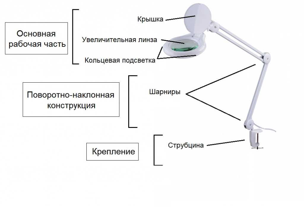 11 лучших настольных ламп – рейтинг 2023 года