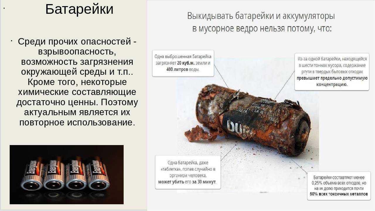 В чем опасность выбрасывать в обычную мусорку? обзор +советы