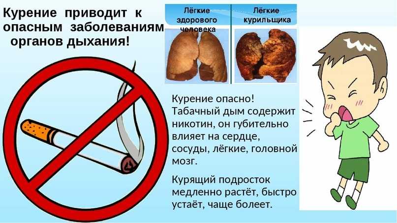 Насколько базальтовая вата вредна для здоровья живущих в доме людей