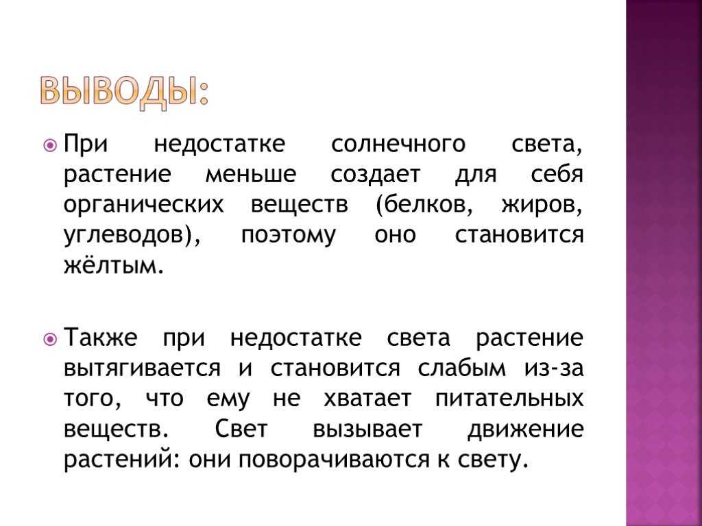 Как растения приспосабливаются к условиям освещения, и как помочь им в домашних условиях