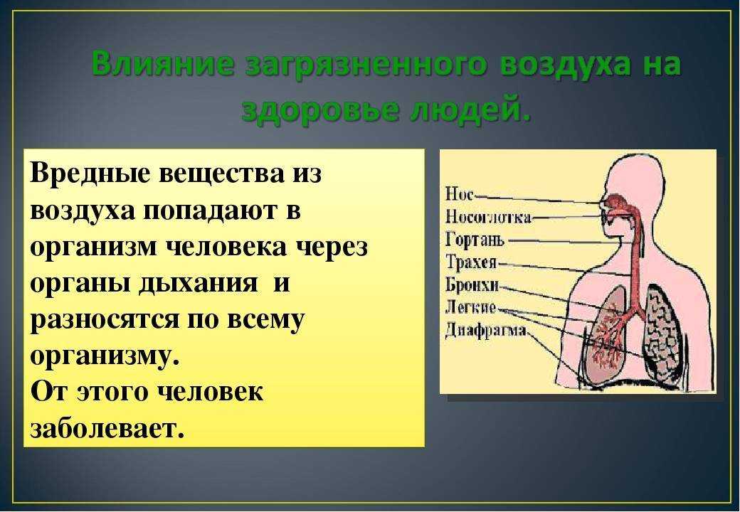 Состав минеральной ваты и ее вред для здоровья – насколько оправданы мифы о материале