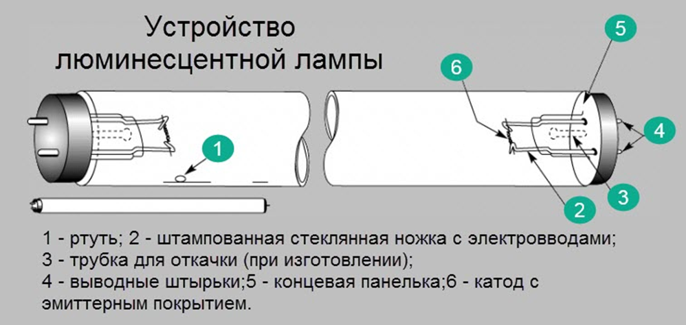 Как устроена и работает энергосберегающая лампа?