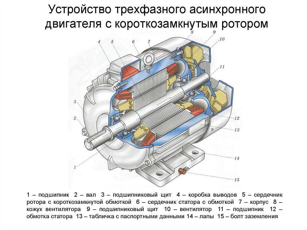 Асинхронный двигатель с короткозамкнутым ротором – принцип работы и применение.