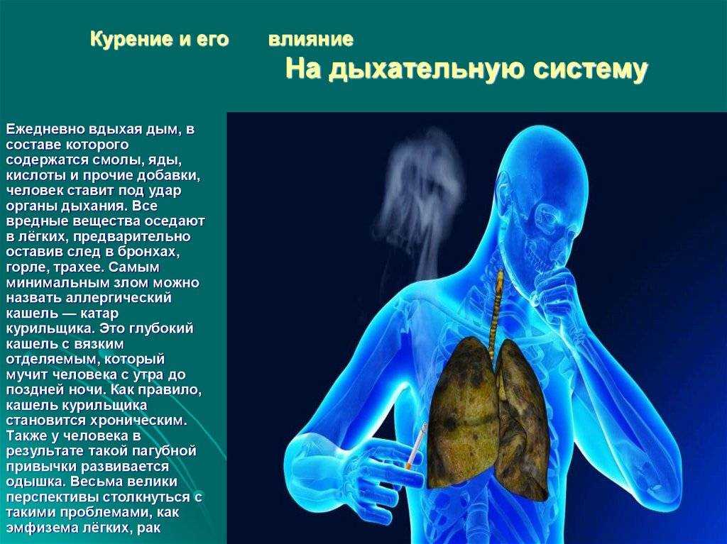 Базальтовая вата - вредный материал для человеческого здоровья: состав утеплителя и его опасные компоненты