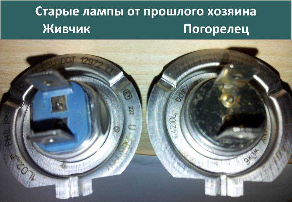 Замена лампы ближнего света на сузуки гранд витара: какая стоит