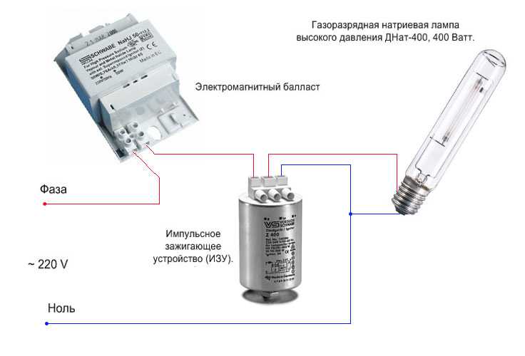 Галогеновые лампы диммируются или нет