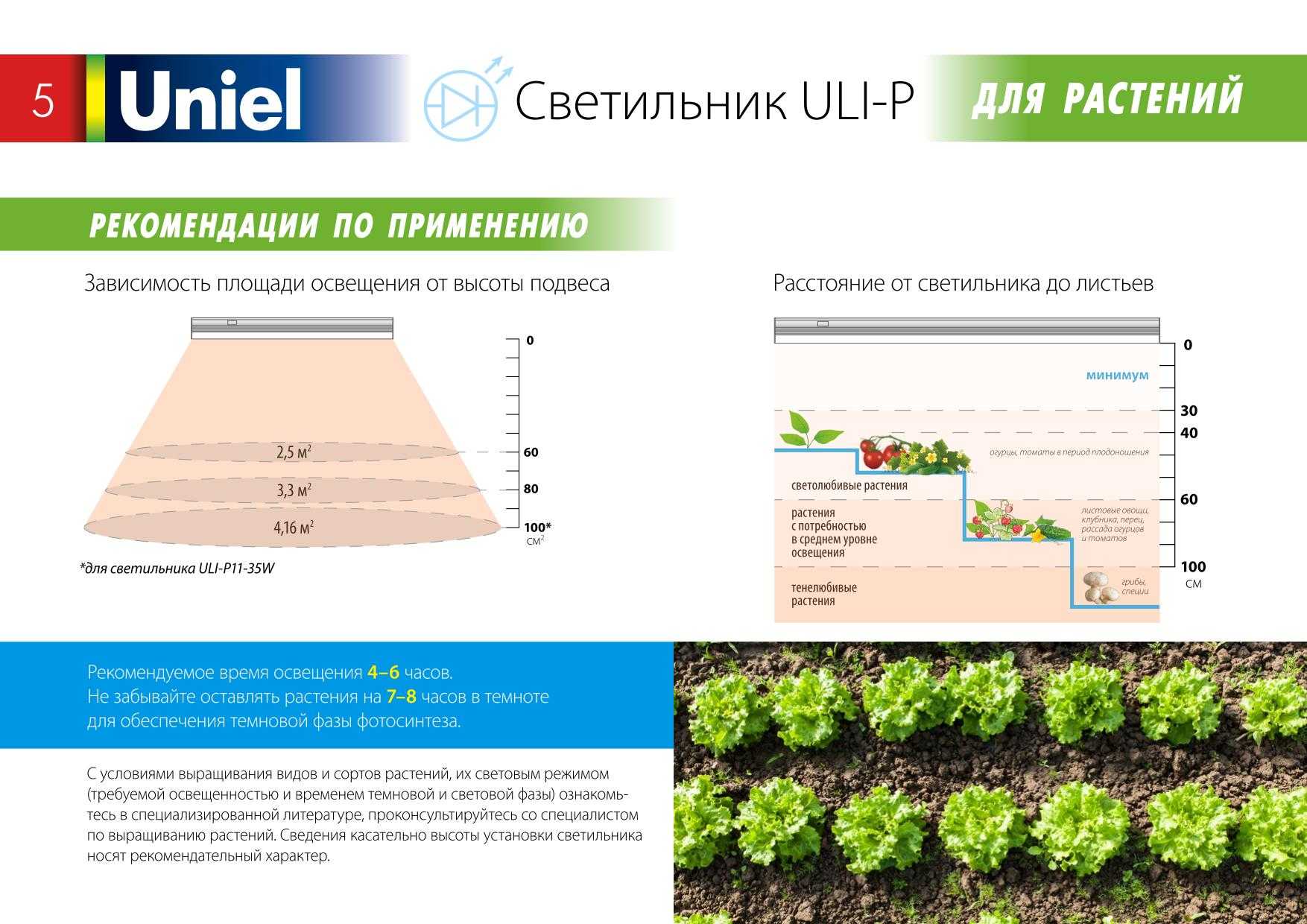 Всё о подсветке рассады