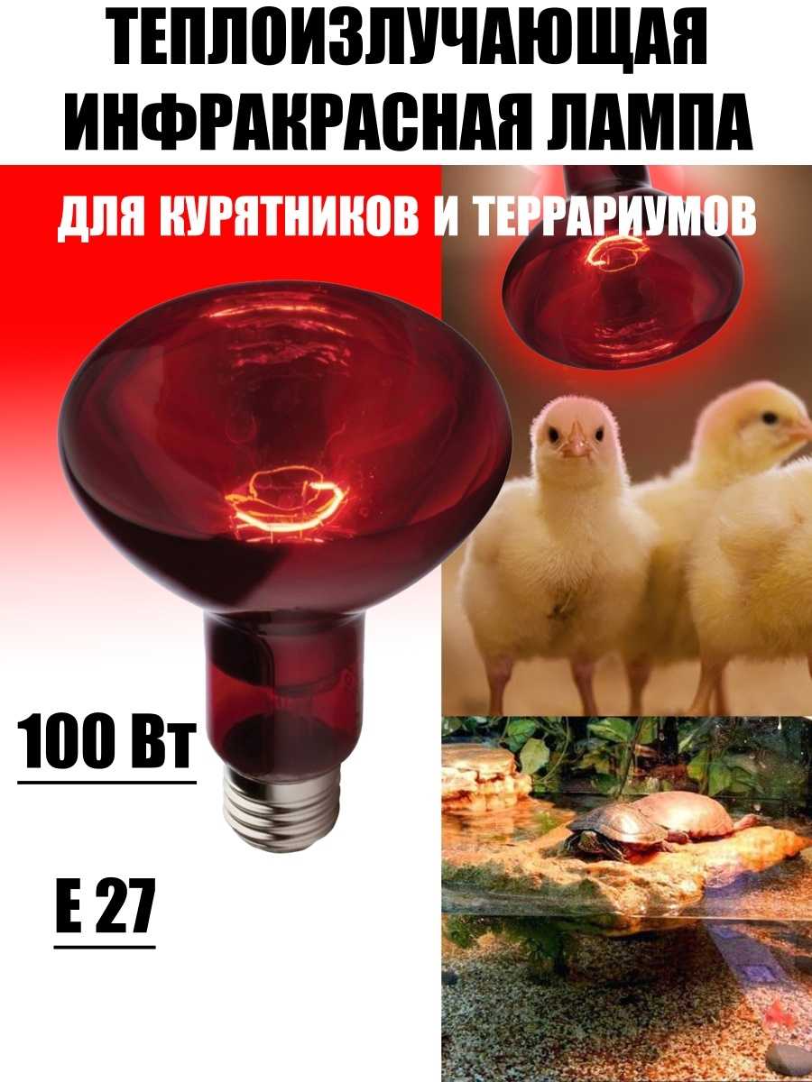 Лампа инфракрасная для обогрева курятника в зимнее время: преимущества использования и правила размещения