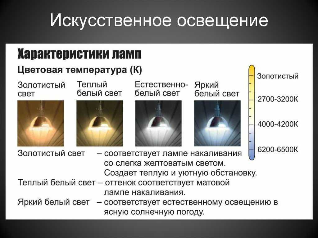 Особенности использования светодиодной ленты для подсветки растений - 1posvetu.ru