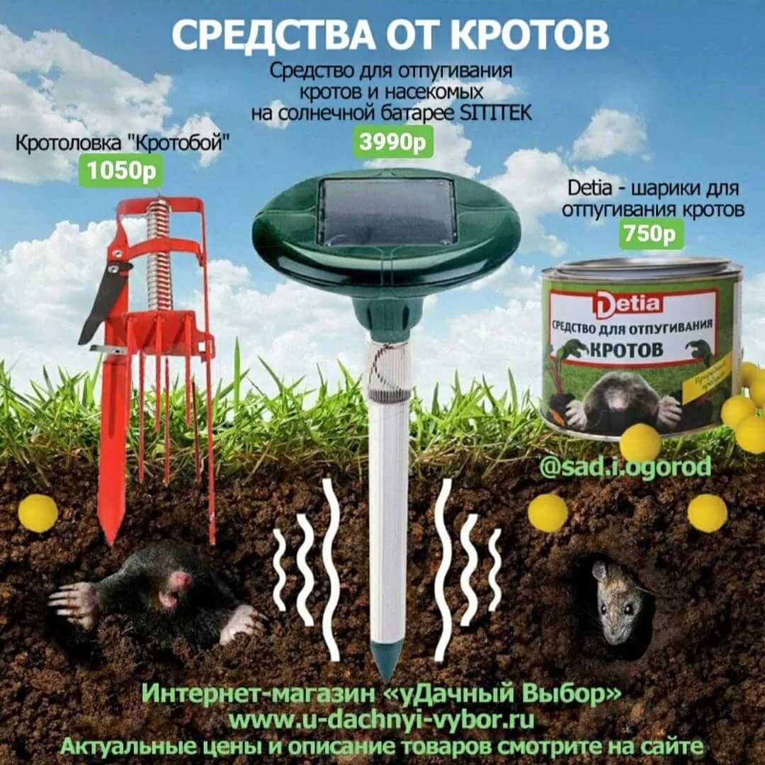 Как сделать вертушка из пластиковой бутылки для отпугивания кротов