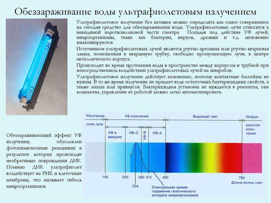 Кварцевая лампа для дома💡: о чём молчат врачи?