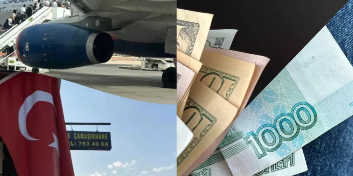 Индикатор скрытой проводки — какой лучше, индикатор электропроводки в виде отвертки