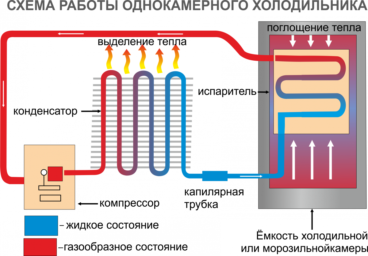 Холодильник на газу: как работает, плюсы, минусы, как выбрать