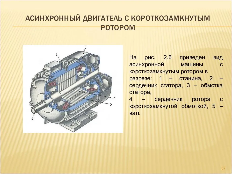 Устройство, принцип работы и схема подключения асинхронного двигателя с фазным ротором