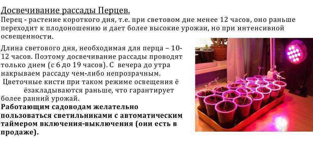 Освещение (подсветка) для рассады в домашних условиях: как сделать своими руками, фото + видео