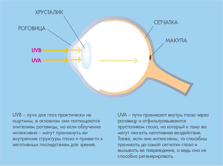 Вредны ли светодиодные лампы?