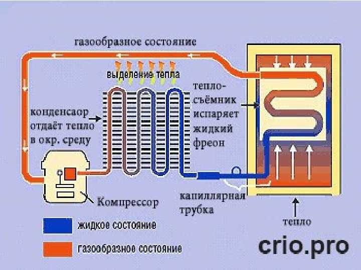 Принцип работы пускозащитного реле для бытового холодильника