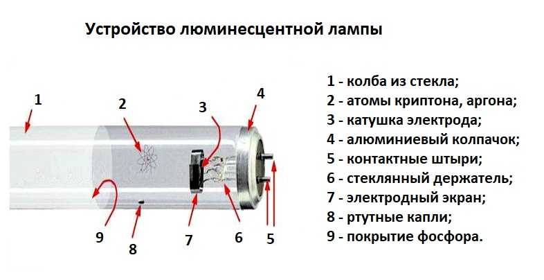 Особенности и отличия люминесцентных ламп от светодиодных