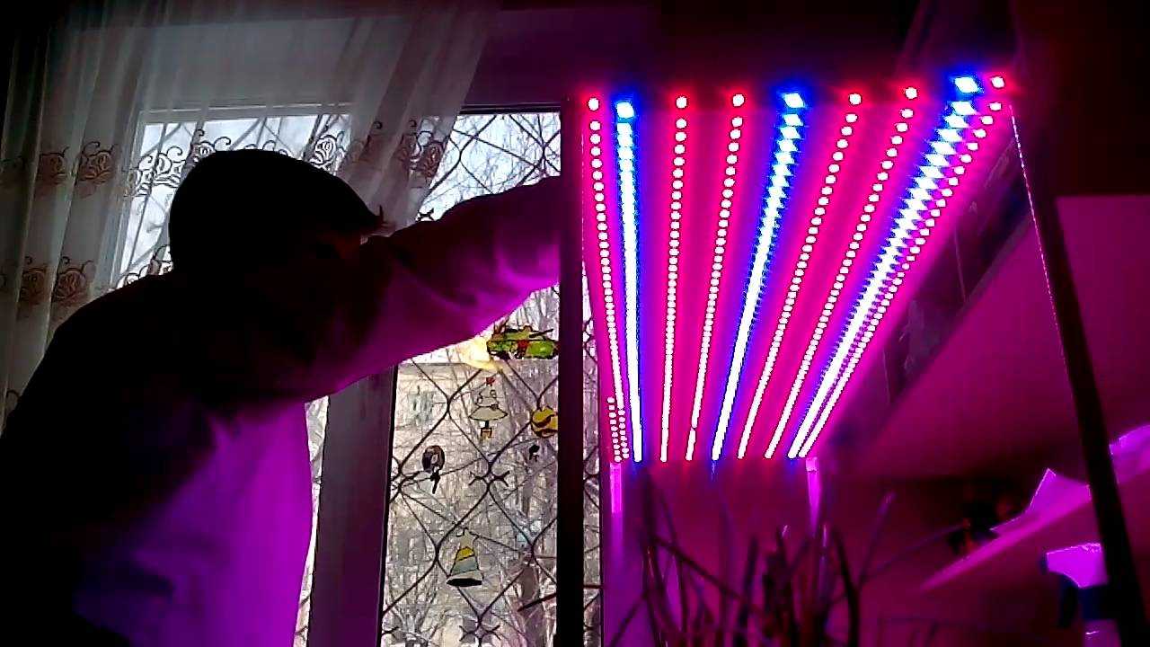 Что такое светодиодная лента для растений Чем они отличаются от обычных LED-лент, в чем их особенности и преимущества Обо всем по порядку