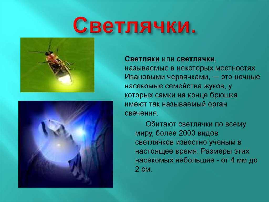 Как сделать ультрафиолетовый фонарик своими руками в домашних условиях