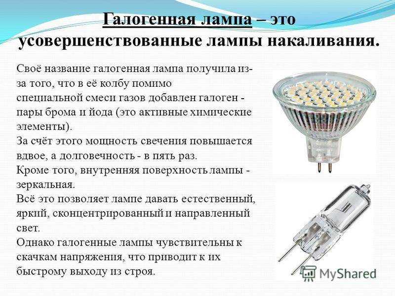 Выбираем галогенную лампу, разбираем все плюсы и минусы