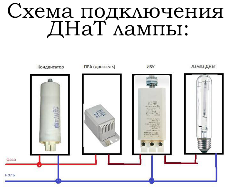Лампы днат для растений и уличных фонарей: схема подключения и виды