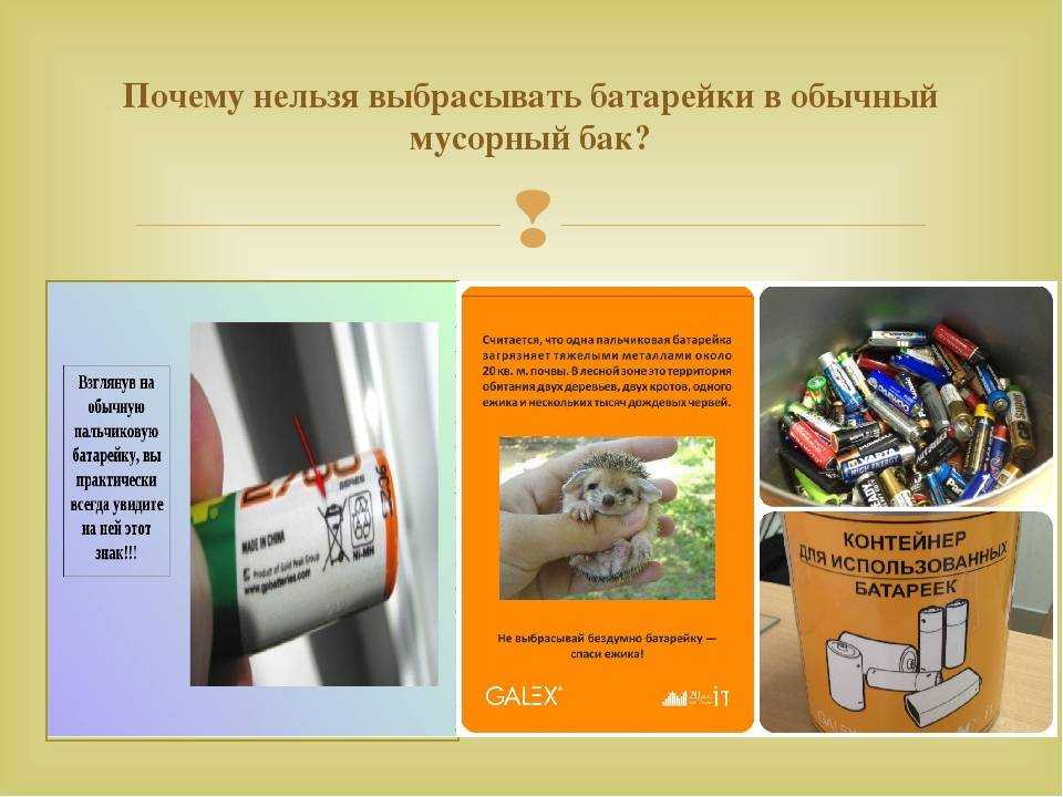 Утилизация батареек: кто ведет сбор и прием на переработку за деньги, как и куда утилизировать, почему нельзя выбрасывать в мусор, а также бизнес и заводы в россии