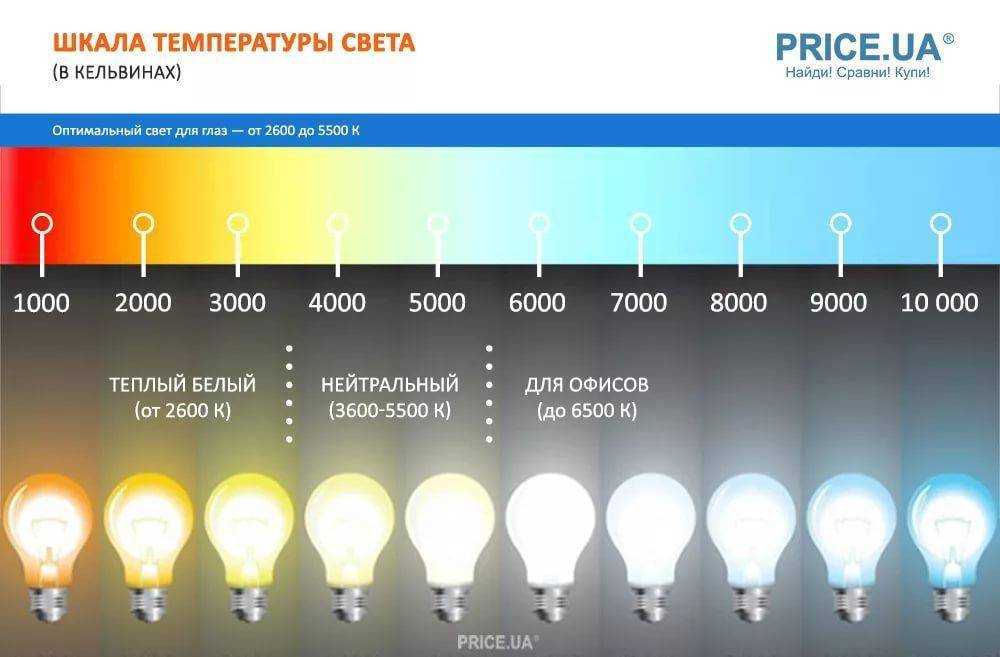 Какое освещение для рассады лучше выбрать