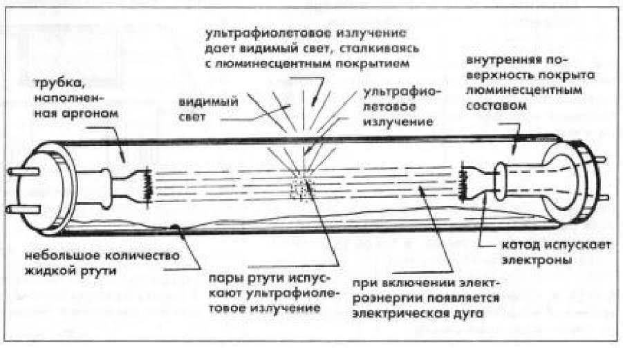 Энергосберегающие лампы – виды и характеристики