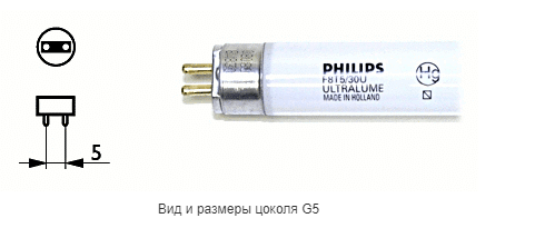 Цоколь g4: виды ламп, размеры, область применения