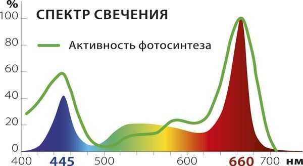Фитолампа: что это такое, чем отличается от обычной светодиодной, как пользоваться