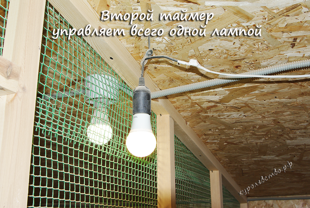 Инфракрасные лампы для освещения и обогрева курятника