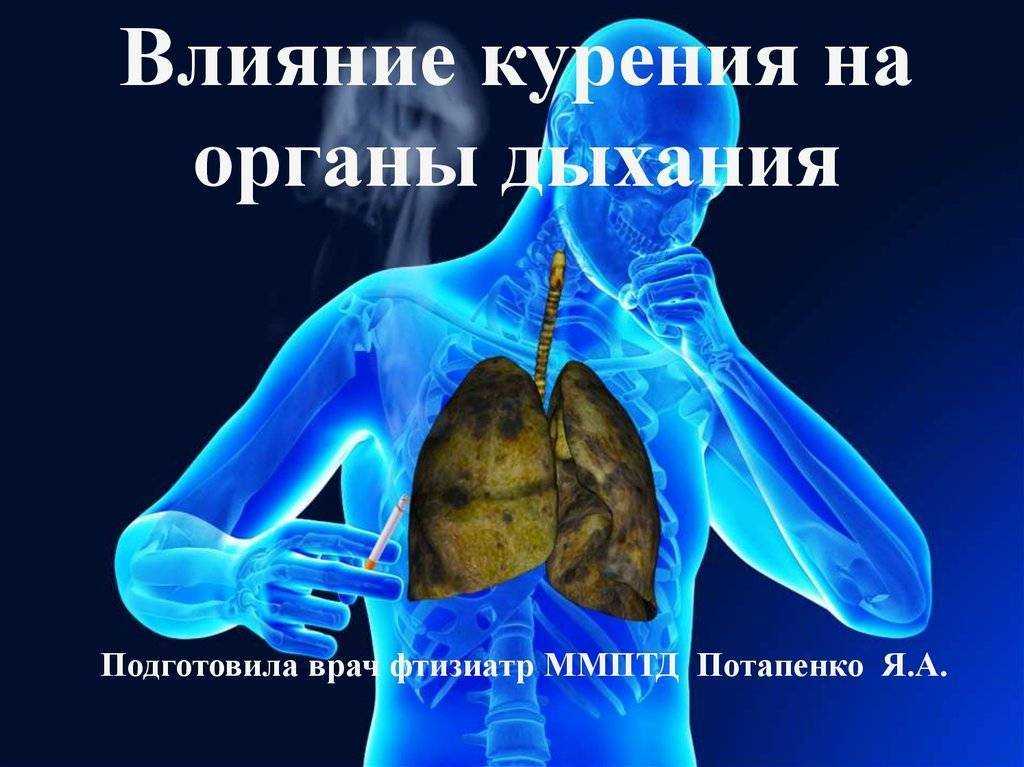 Каменная вата - вред для здоровья: развенчивание 4 мифов
