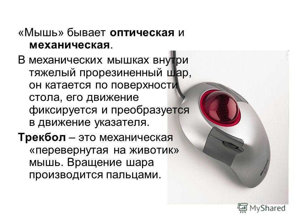 Как выбрать компьютерную мышь: какая лучше оптическая или лазерная, проводная или беспроводная