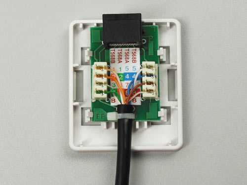 Ethernet розетка: монтаж, схема распиновки разъема rj45 и подключение интернет-кабеля