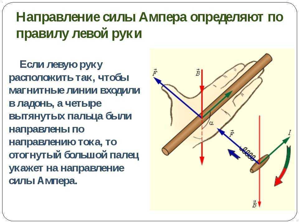 Правило правой и левой руки в физике: применение в повседневной жизни | greendom74.ru